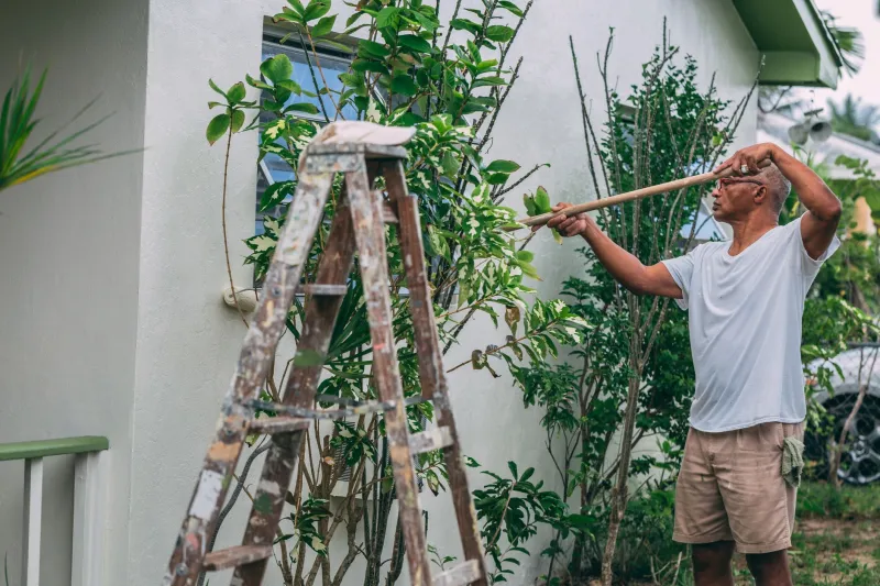 Before You Grab That Ladder: The Real Price of DIY Roof Repairs in the Niagara Region