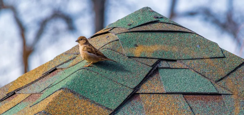 When the Hail Clears: Protecting Your St. Catharines Home from Post-Storm Roofing Scams